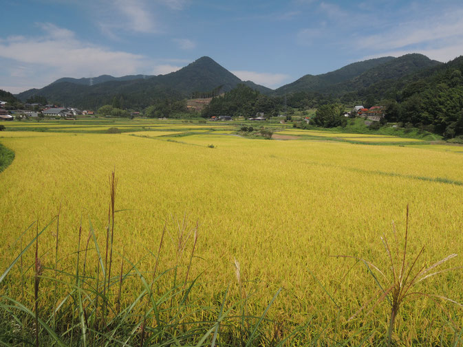 剣山を臨む