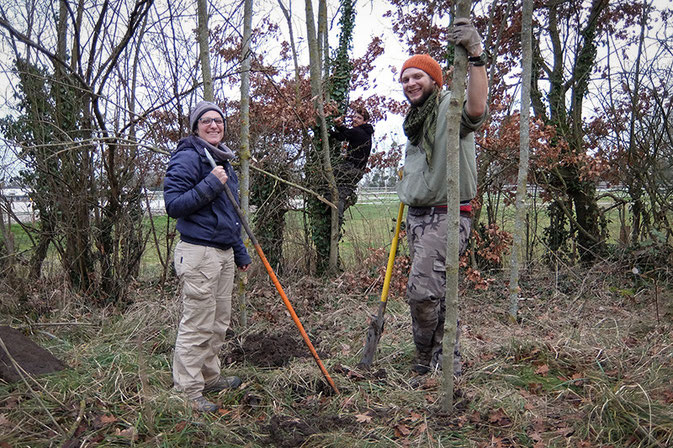 L'Atelier Vert - Chantier haras de Rosières