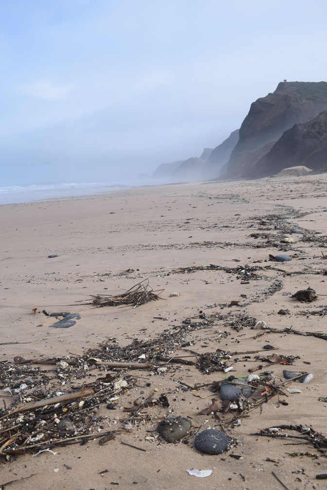 plastic debris, Atlantic Coast, Portugal