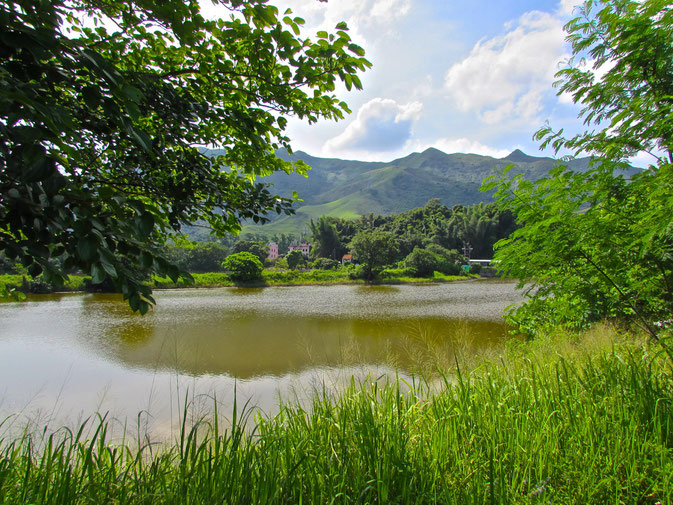 Hiking in Hong Kong