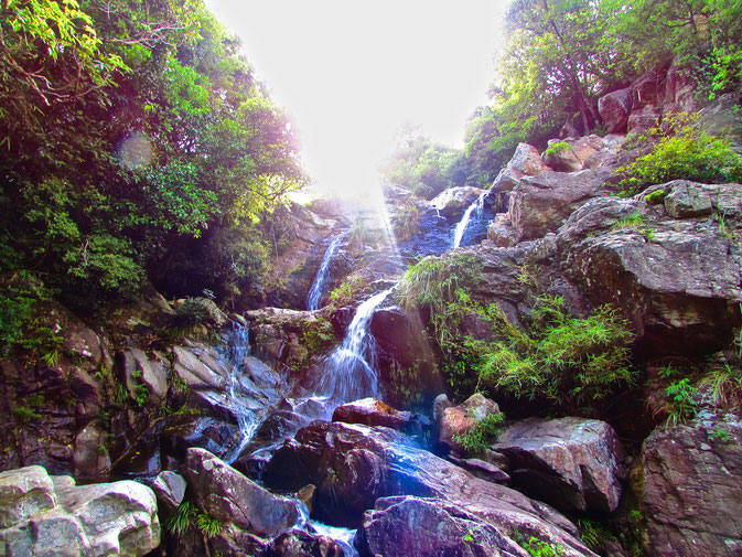 best hike hong kong