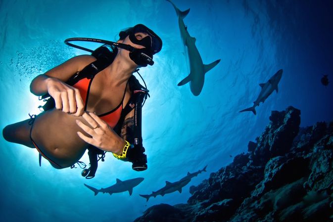 scuba diver bloggers