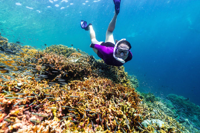 Female scuba divers | Sarah Richard
