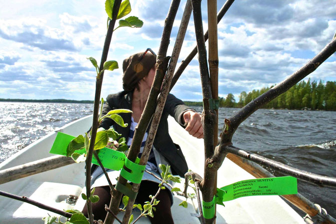 My Sister-in-law sailing to an island in Finland