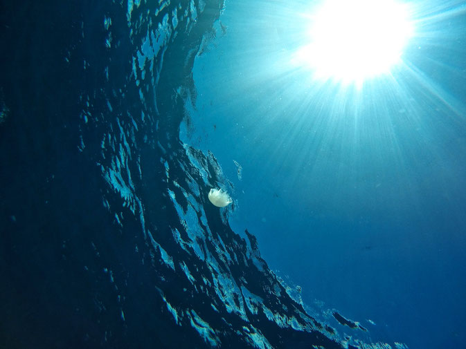 how to get a job as a scuba diver