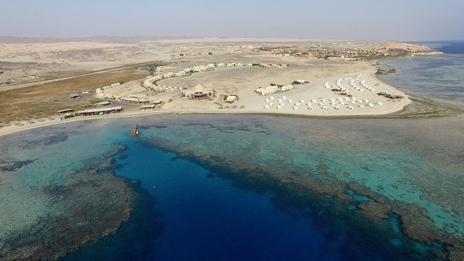 where to dive in egypt