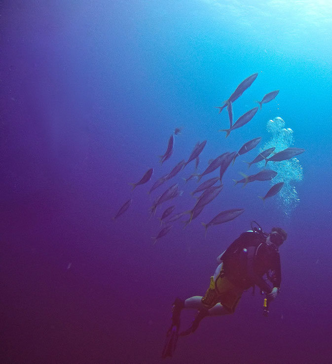 tips on diving in Micronesia