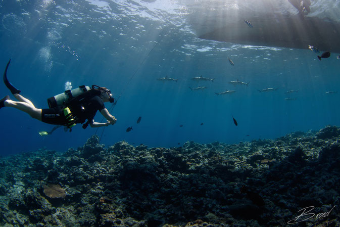 PADI Discover Scuba class