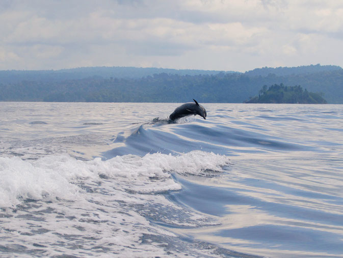 Panama, Central America.