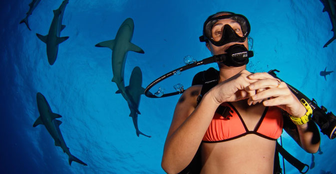 girls and sharks