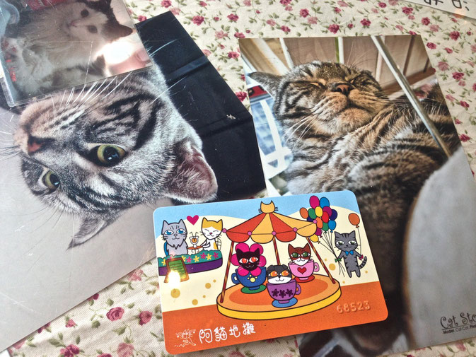 Feline good at Hong Kong cat cafe CoffeeWithASliceOfLife Feline good at Hong Kong cat cafe CoffeeWithASliceOfLife
