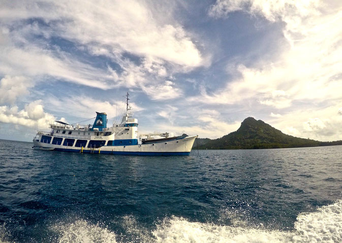 scuba diving jobs