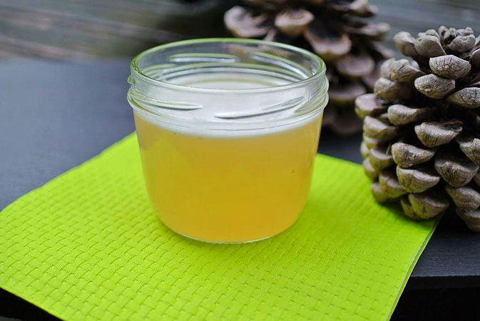 Wald im Glas: Fichtennadel-Gelee (auch für Thermomix)