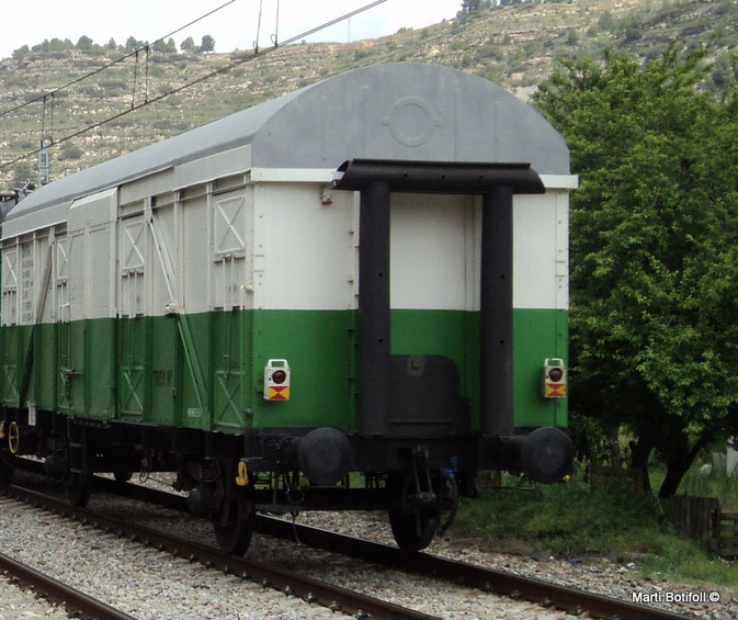 Imagen 2: Vehículo de cola de un tren convencional con las señales reglamentarias. No puede saberse si en el momento de la circulación estaban encendidas o apagadas, ya que funcionan a destellos. De todos modos, cumplirían con las prescripciones de arriba