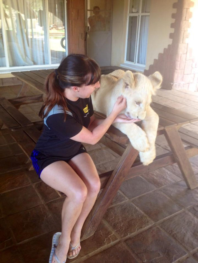 Amber and a lion at Buntle Ba Project with Africa Volunteer Adventures