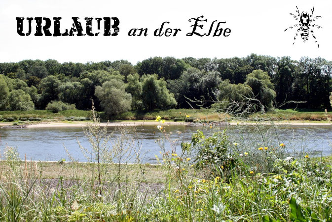 Urlaub an der Elbe