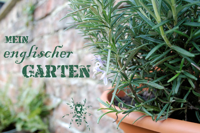 Mein englischer Garten - Urban Gardening in England - Zebraspider DIY Anti-Fashion Blog