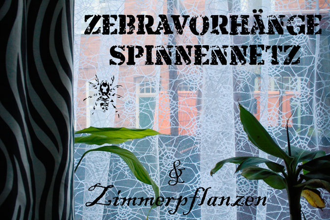 Zebravorhänge, Spinnennetz und Zimmerpflanzen - Zebraspider DIY Anti-Fashion Blog