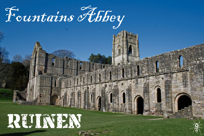 Die Ruinen der Fountains Abbey (Fotobeitrag) - Zebraspider DIY Anti-Fashion Blog