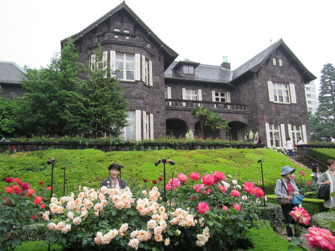 小雨交じりの薔薇園もよいものです