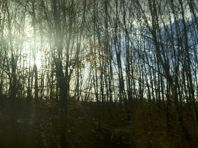 Fahrtwind ICE, Nov. 2016