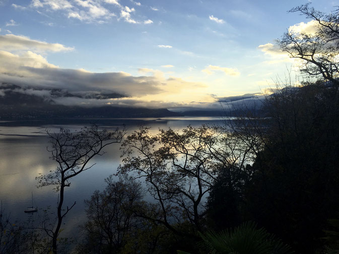 Blick von Ascona, Nov. 2016