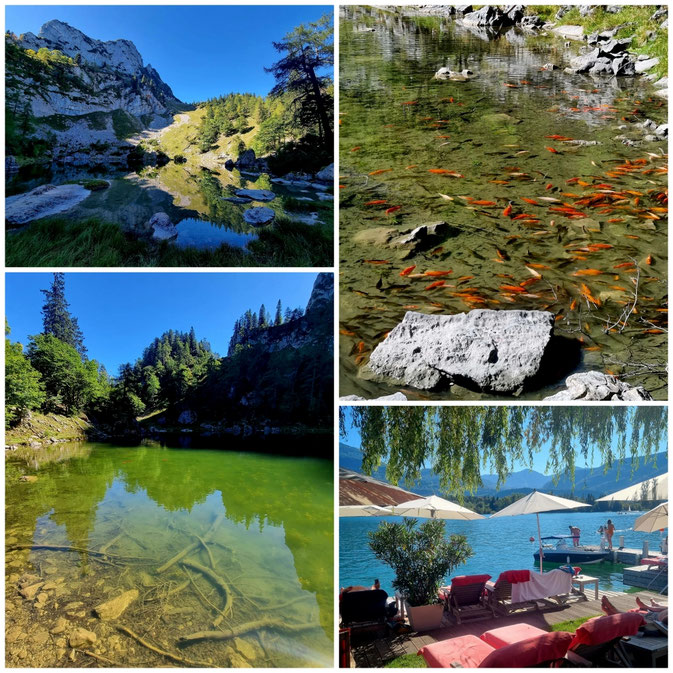  babebi-ontour.com, Hatschn&Haxln, durch ganz Österreich, Wolfgangsee, Schafberg, Schafbergbahn, Schafbergspitze, Himmelspforte, Panoramablick, Seenwanderung, Purtschellersteig, Zahnradbahn