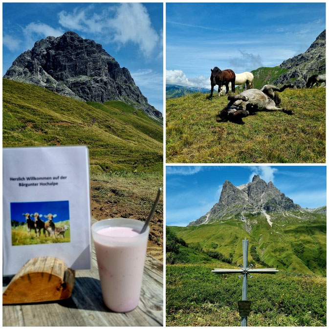 babebi-ontour.com, Hatschn&Haxln, durch ganz Österreich, Vorarlberg, Tirol, Lechtal, Hochtannberg, Außerfern, Gaichtpaß, Fernpaß, Via Claudia Augusta, Radweg, Radtour, Bergtour, Bike & Hike, Tannheimertal, Zugspitze,