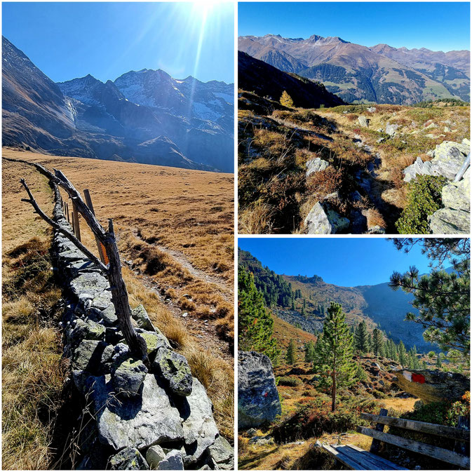 babebi-ontour.com, Hatschn&Haxln, durch ganz Österreich, Zillertal, Herbstwandern, Panorama, Ausblick, Tettensjoch