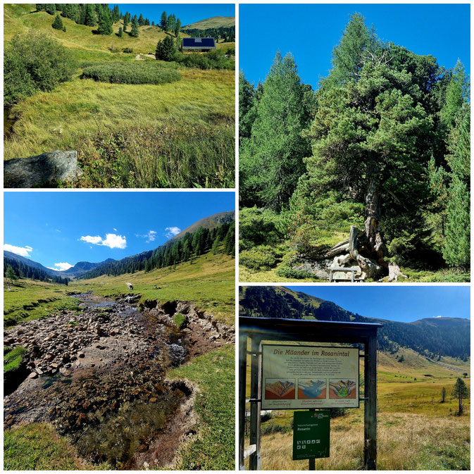 babebi-ontour.com, Hatschn&Haxln, durch ganz Österreich, Innerkrems, Kärnten, Steiermark, Salzburg, Wanderung, Bergsee, Rosanintal, Nockberge, Friesenhalssee, Krems in Kärnten