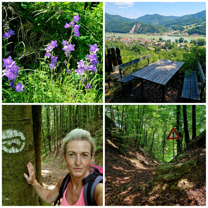 babebi-ontour.com, Hatschn&Haxln, durch ganz Österreich, Wachau, Niederösterreich, Welterbesteig, Spitz, Dürnstein, Melk, Krems, Kulturerbe, Weitwandern, Weinwanderung, Panorama