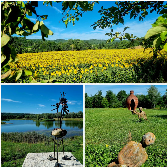 babebi-ontour.com, Hatschn&Haxln, durch ganz Österreich, Wien, Burgenland, Niederösterreich, Radtour, Radfahren im Burgenland, Weintour, Neusiedlersee, Eisenstadt, bucklige Welt, Köszeg, Sonnenblumenfelder, Windräder, Natur pur