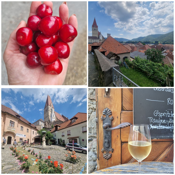 babebi-ontour.com, Hatschn&Haxln, durch ganz Österreich, Wachau, Niederösterreich, Welterbesteig, Spitz, Dürnstein, Melk, Krems, Kulturerbe, Weitwandern, Weinwanderung, Panorama