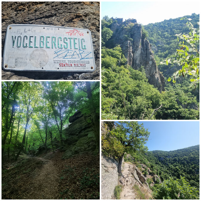 babebi-ontour.com, Hatschn&Haxln, durch ganz Österreich, Wachau, Niederösterreich, Welterbesteig, Spitz, Dürnstein, Melk, Krems, Kulturerbe, Weitwandern, Weinwanderung, Panorama
