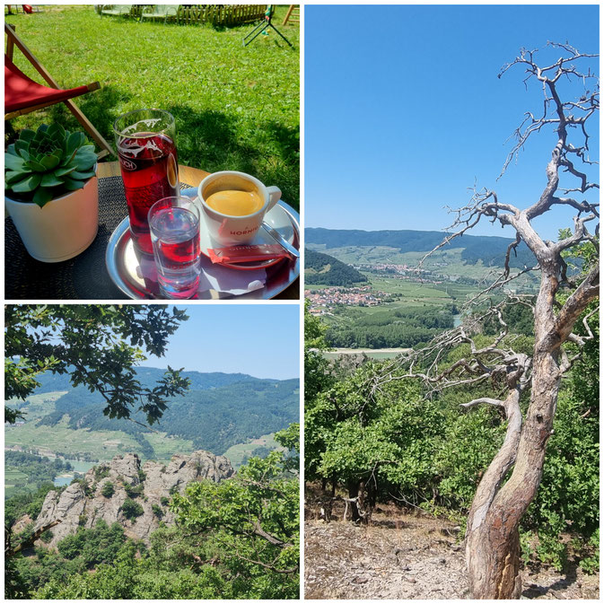 babebi-ontour.com, Hatschn&Haxln, durch ganz Österreich, Wachau, Niederösterreich, Welterbesteig, Spitz, Dürnstein, Melk, Krems, Kulturerbe, Weitwandern, Weinwanderung, Panorama