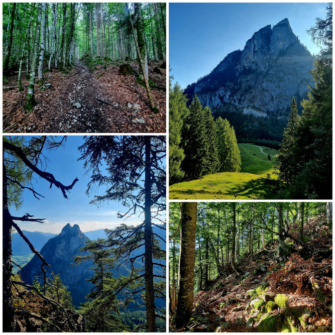 babebi-ontour.com, Hatschn&Haxln, durch ganz Österreich, Wolfgangsee, Strobl am Wolfgangsee, Bleckwand, Ofenloch, Wanderung, Panorama, Badesee, Bleckwandhütte,