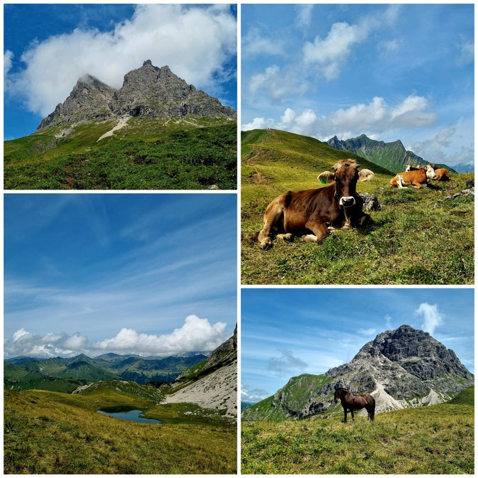 babebi-ontour.com, Hatschn&Haxln, durch ganz Österreich, Vorarlberg, Tirol, Lechtal, Hochtannberg, Außerfern, Gaichtpaß, Fernpaß, Via Claudia Augusta, Radweg, Radtour, Bergtour, Bike & Hike, Tannheimertal, Zugspitze,