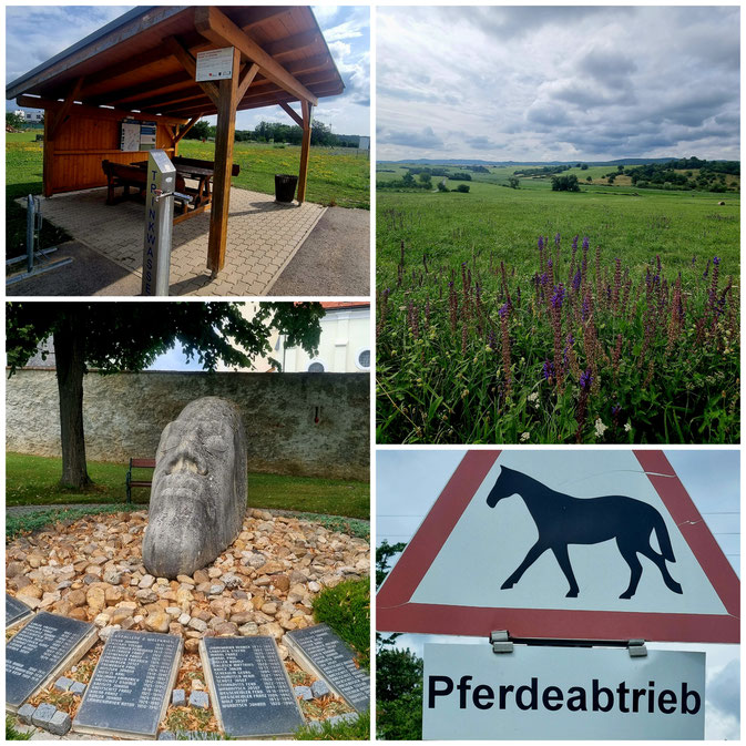 babebi-ontour.com, Hatschn&Haxln, durch ganz Österreich, Wien, Burgenland, Niederösterreich, Radtour, Radfahren im Burgenland, Weintour, Neusiedlersee, Eisenstadt, bucklige Welt, Köszeg, Sonnenblumenfelder, Windräder, Natur pur