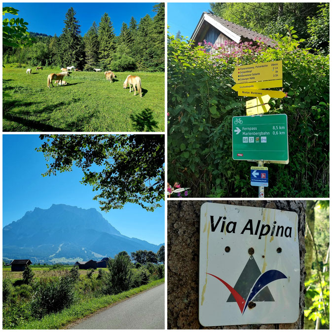 babebi-ontour.com, Hatschn&Haxln, durch ganz Österreich, Vorarlberg, Tirol, Lechtal, Hochtannberg, Außerfern, Gaichtpaß, Fernpaß, Via Claudia Augusta, Radweg, Radtour, Bergtour, Bike & Hike, Tannheimertal, Zugspitze,