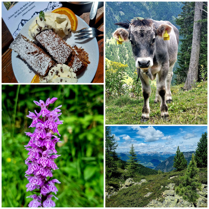 babebi-ontour.com, Hatschn&Haxln, durch ganz Österreich, Pitztal, Brechsee, Talwanderung, Panoramablick, steiler Steig, Mauchele Alm, Pitze, St. Leonhard, Jerzens, Wenns, Arzl, Tirol, Wanderung,