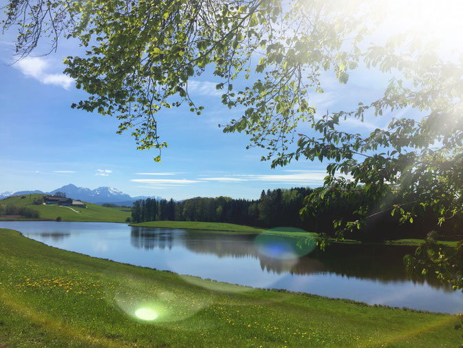  babebi-ontour, Hatschn&Haxln, durch ganz Österreich, Salzburg, Radtour, Maria Plain, Hallwang, Bergheim, Anthering, Obertrum am See, Seekirchen am Wallersee, Hallwang, Elixhausen, E-Bike Tour, Haunsberg, Salzburger Land, Aktiv Urlaub, Radtour, Rennrad