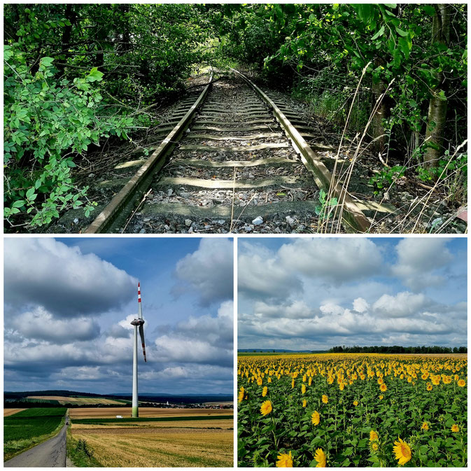 babebi-ontour.com, Hatschn&Haxln, durch ganz Österreich, Wien, Burgenland, Niederösterreich, Radtour, Radfahren im Burgenland, Weintour, Neusiedlersee, Eisenstadt, bucklige Welt, Köszeg, Sonnenblumenfelder, Windräder, Natur pur