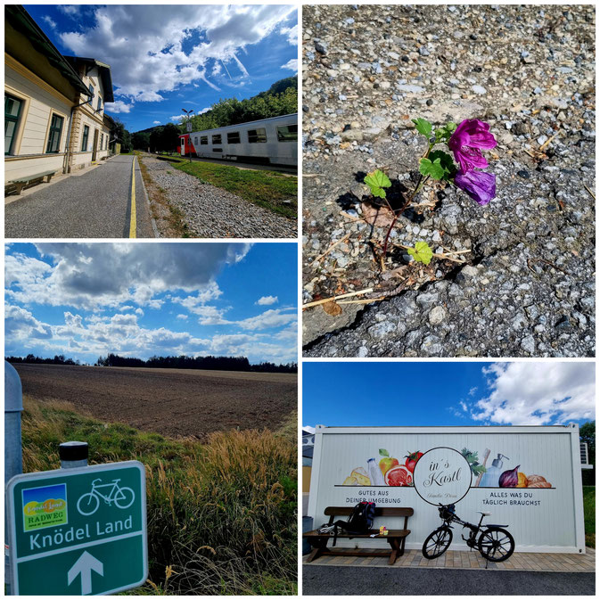 babebi-ontour.com, Hatschn&Haxln, durch ganz Österreich, Waldviertel, Blockheide, Blockheide leuchtet, Niederösterreich