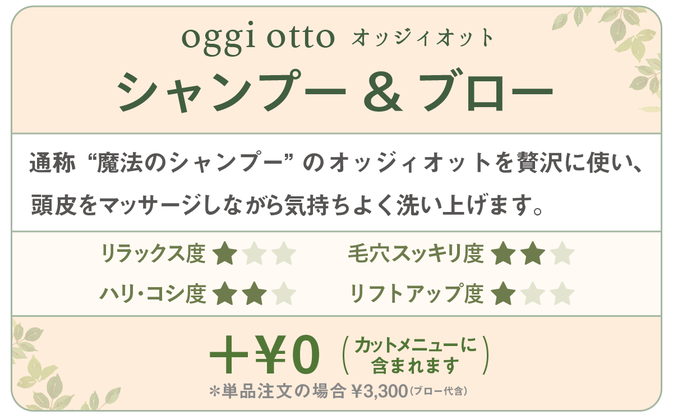 千種区本山の美容室ヘアサロン/ヘアディテール本山フォレストのレディースシャンプーメニューです。