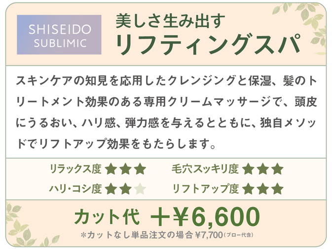 千種区本山の美容室ヘアサロン/ヘアディテール本山フォレストのレディーストリートメントメニューです。