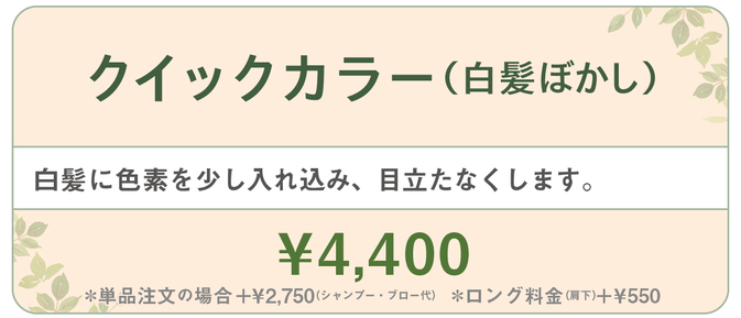 千種区本山の美容室ヘアサロン/ヘアディテール本山フォレストのレディースカラーメニューです。
