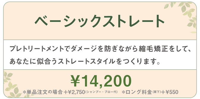 千種区本山の美容室ヘアサロン/ヘアディテール本山フォレストのレディース縮毛矯正メニューです。
