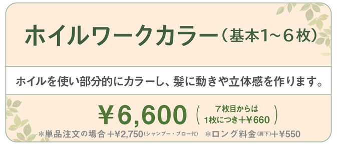 千種区本山の美容室ヘアサロン/ヘアディテール本山フォレストのレディースカラーメニューです。