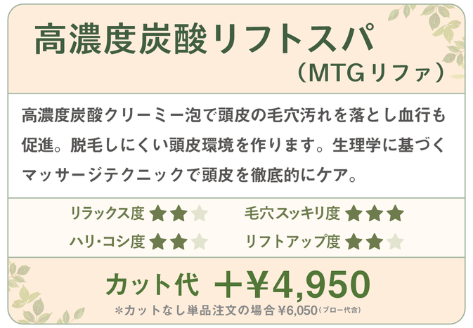 千種区本山の美容室ヘアサロン/ヘアディテール本山フォレストのレディーストリートメントメニューです。