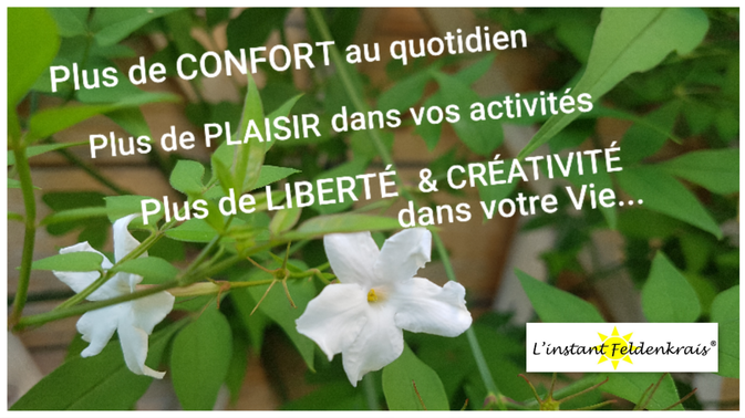 feldenkrais l'instant praticienne IF PCM prise de conscience par le mouvement plein méditation intégration fonctionnelle entrainement cerveau neuroplasticité dos équilibre articulation arthose viellir bien bien-être gym douce praticien manosque 04